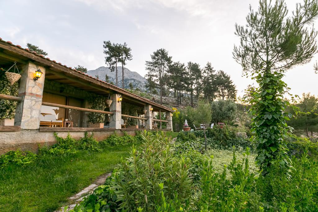 Olympos Mountain Lodge Beycik Dış mekan fotoğraf
