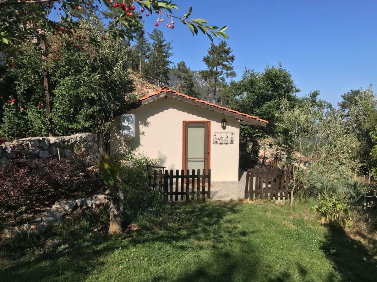 Olympos Mountain Lodge Beycik Dış mekan fotoğraf